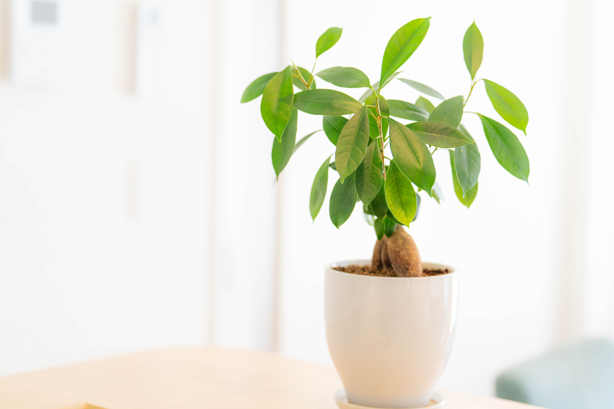 オフィスの内観